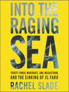 Cover image for Into the Raging Sea